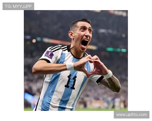 迪马利亚加盟本菲卡时期欧洲成名阶段解析