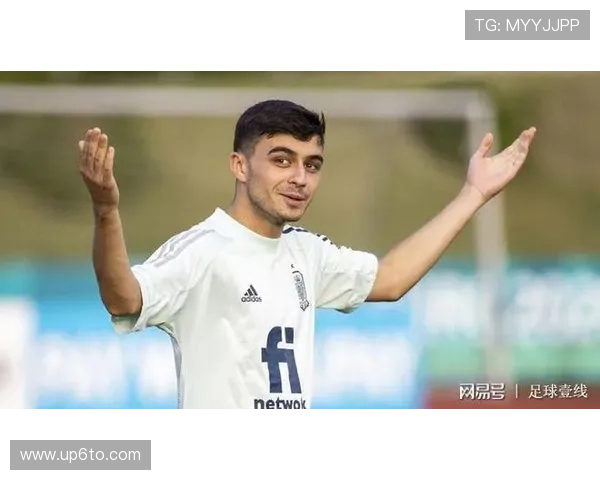 佩德里伤病体质对其出勤稳定性的影响分析